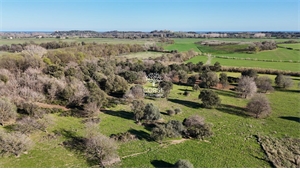 villa à la vente -   20270  ALERIA, surface 95 m2 vente villa - UBI476681942